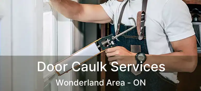  Door Caulk Services Wonderland Area - ON
