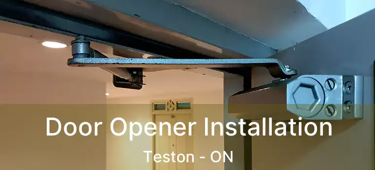  Door Opener Installation Teston - ON