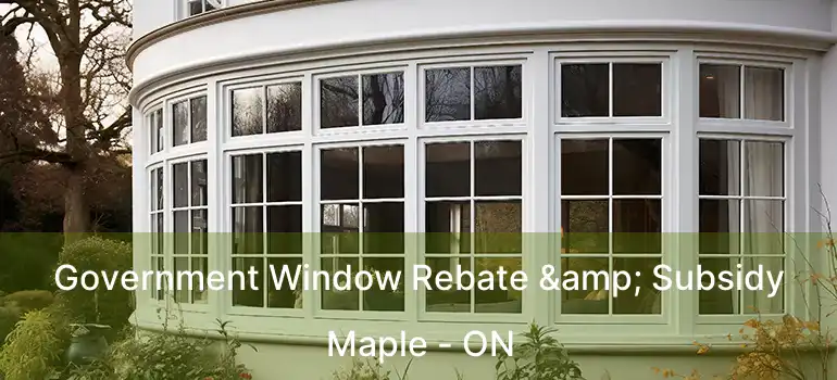  Government Window Rebate & Subsidy Maple - ON