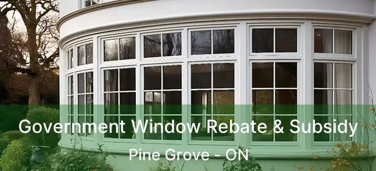 Government Window Rebate & Subsidy Pine Grove - ON
