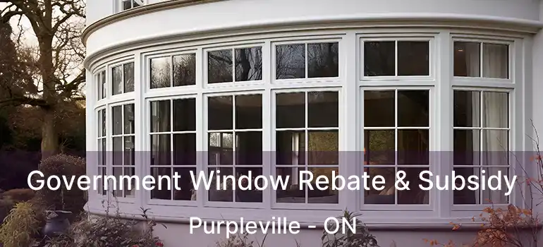 Government Window Rebate & Subsidy Purpleville - ON