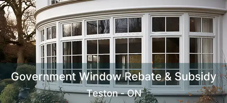 Government Window Rebate & Subsidy Teston - ON