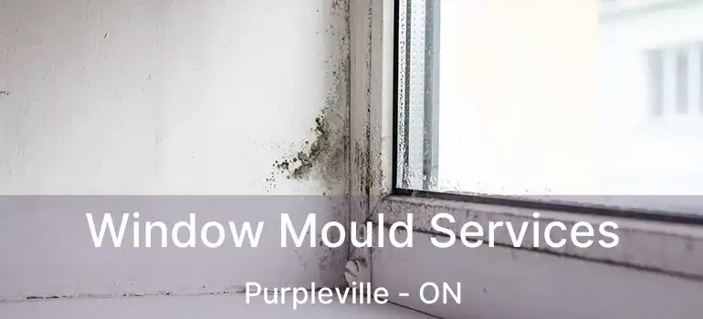  Window Mould Services Purpleville - ON